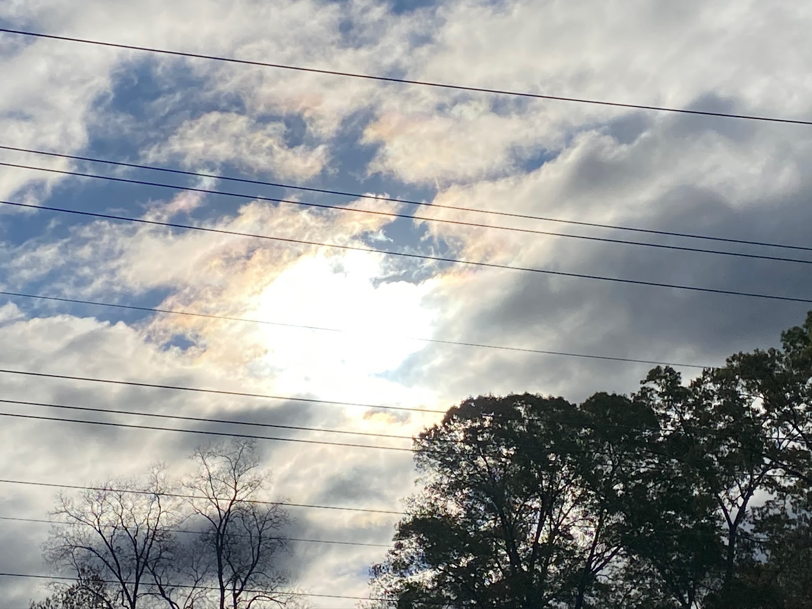 Changing Phases Behavior Support