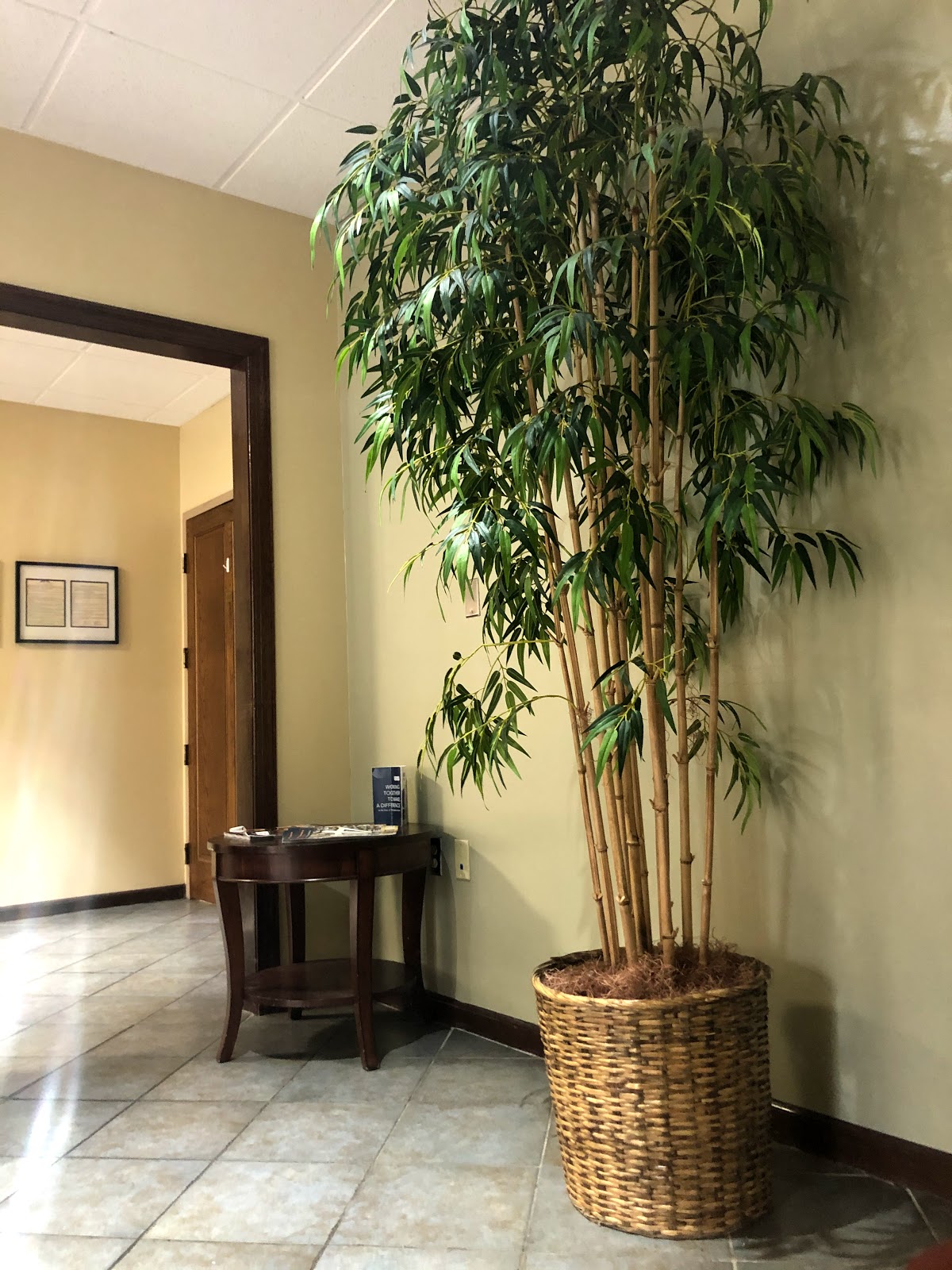 Coastal Harbor Treatment Center